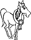 Qedit horse